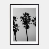 Palms Photo B&W Poster