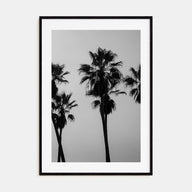Palms Photo B&W Poster