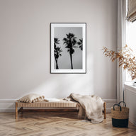 Palms Photo B&W Poster