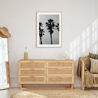 Palms Photo B&W Poster