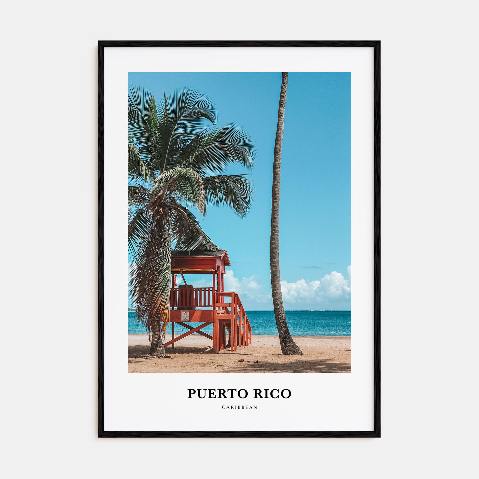 Puerto Rico Portrait Color Poster