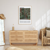 Redwoods Travel Color Poster
