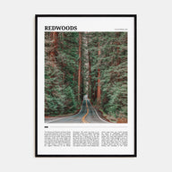 Redwoods Travel Color Poster