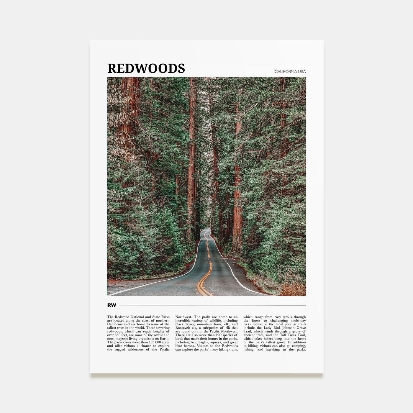 Redwoods Travel Color Poster