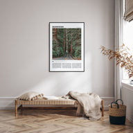 Redwoods Travel Color Poster