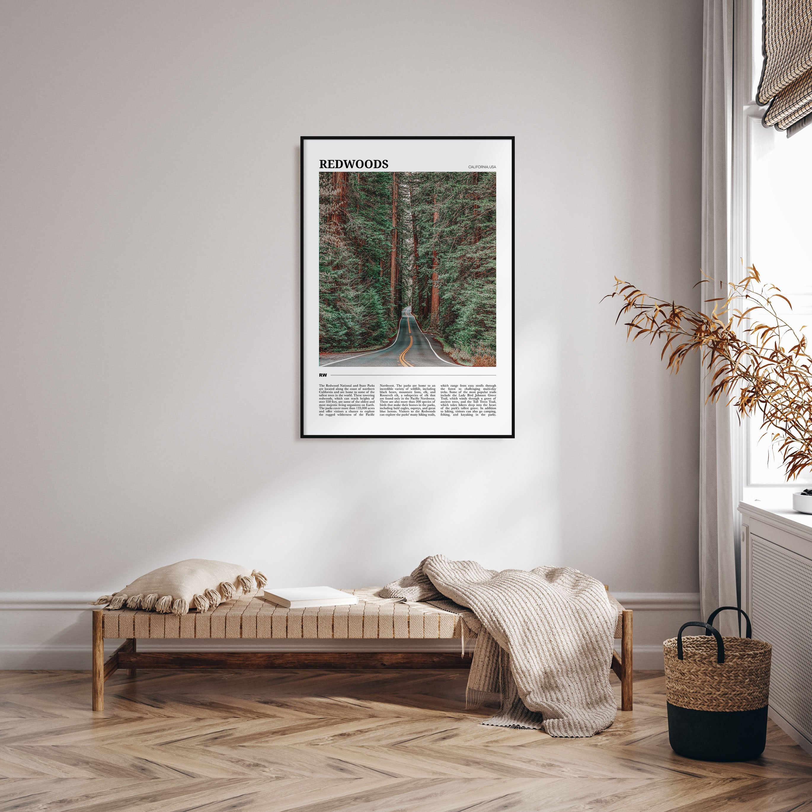 Redwoods Travel Color Poster