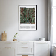 Redwoods Travel Color Poster