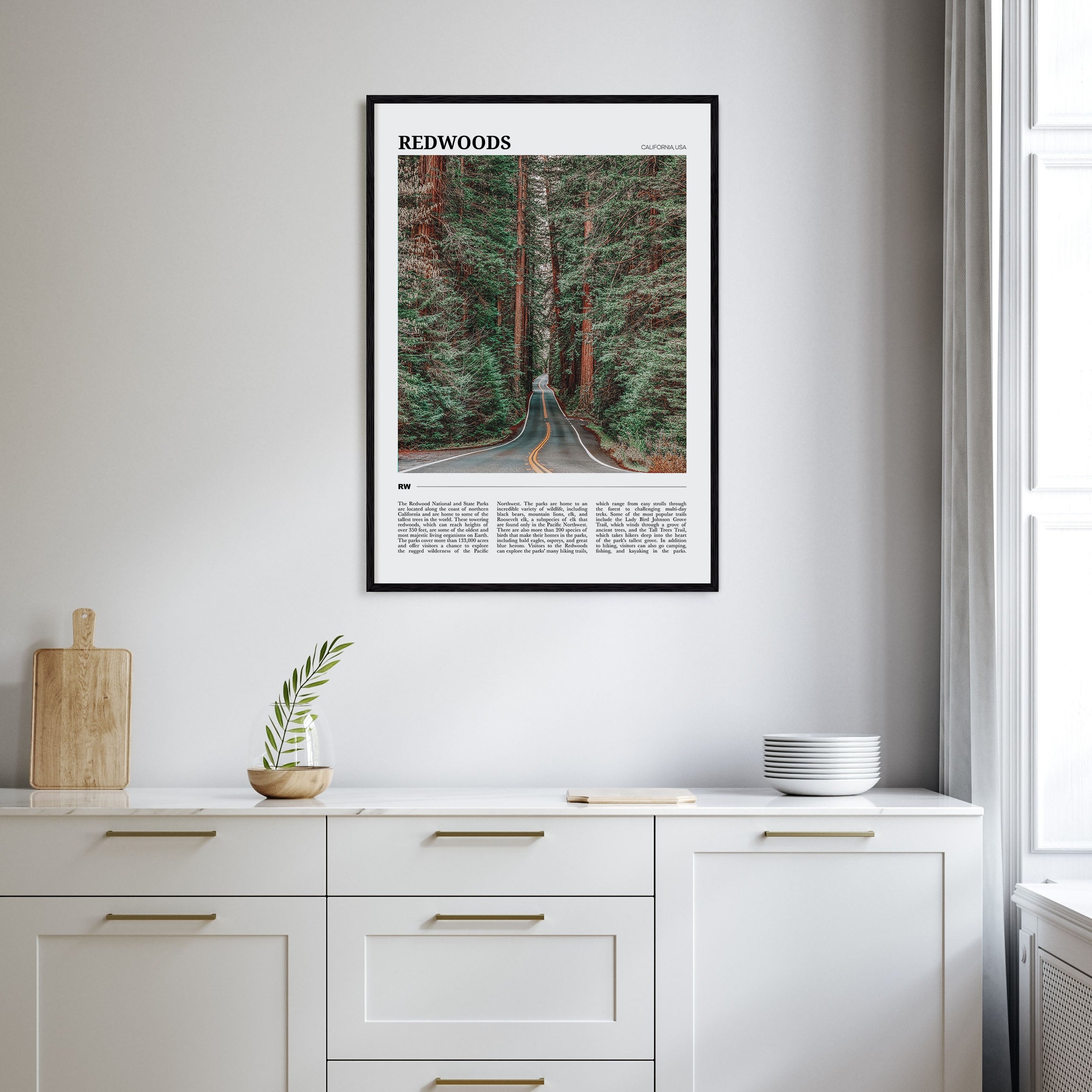 Redwoods Travel Color Poster