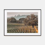 Sonoma Landscape Color Poster