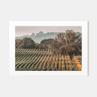 Sonoma Landscape Color Poster