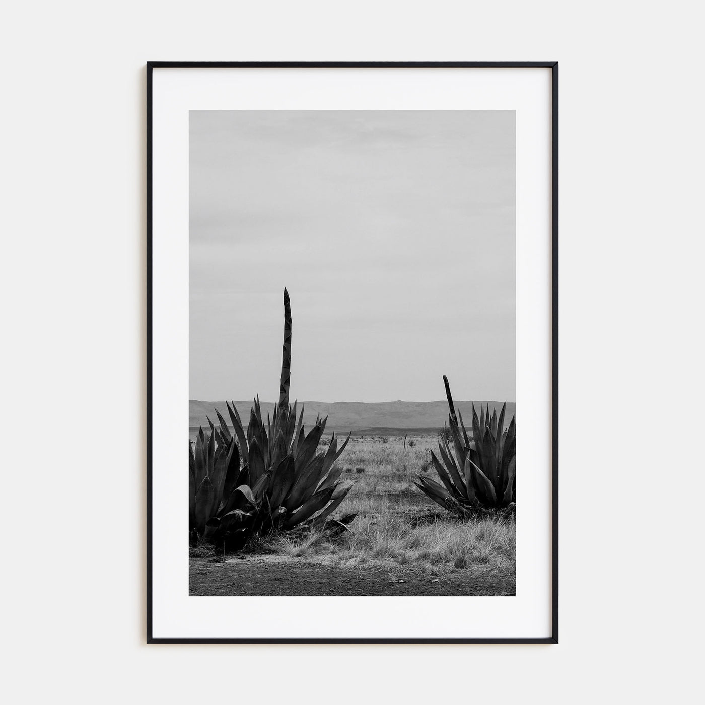 Texas Photo B&W No 1 Poster