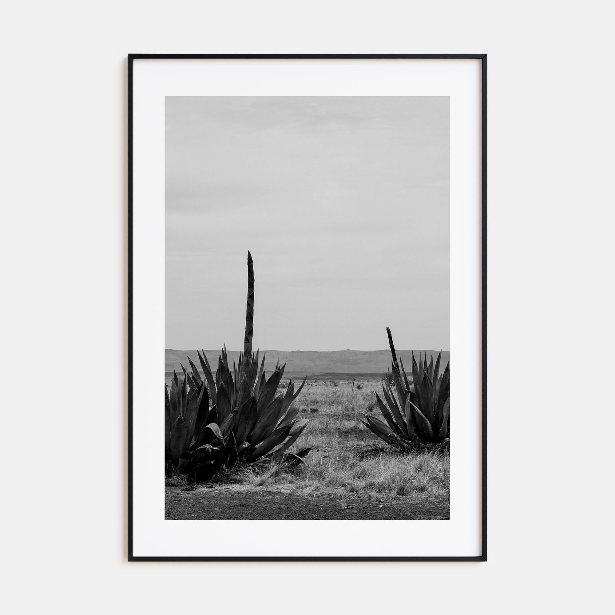 Texas Photo B&W No 1 Poster