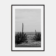 Texas Photo B&W No 1 Poster