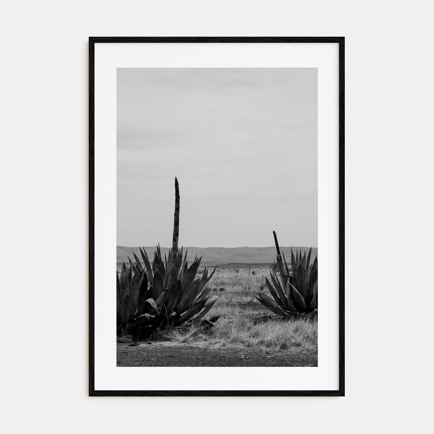 Texas Photo B&W No 1 Poster