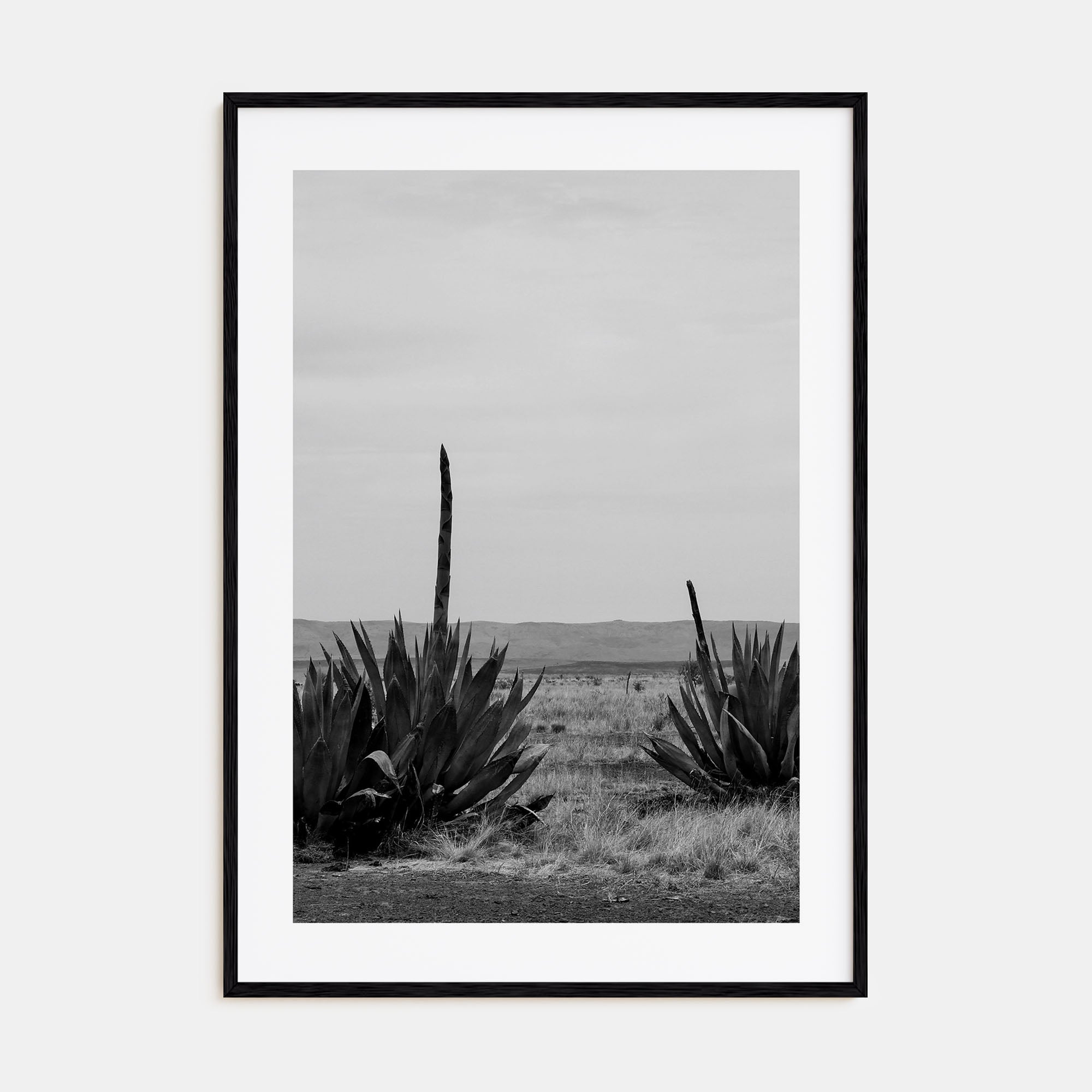 Texas Photo B&W No 1 Poster