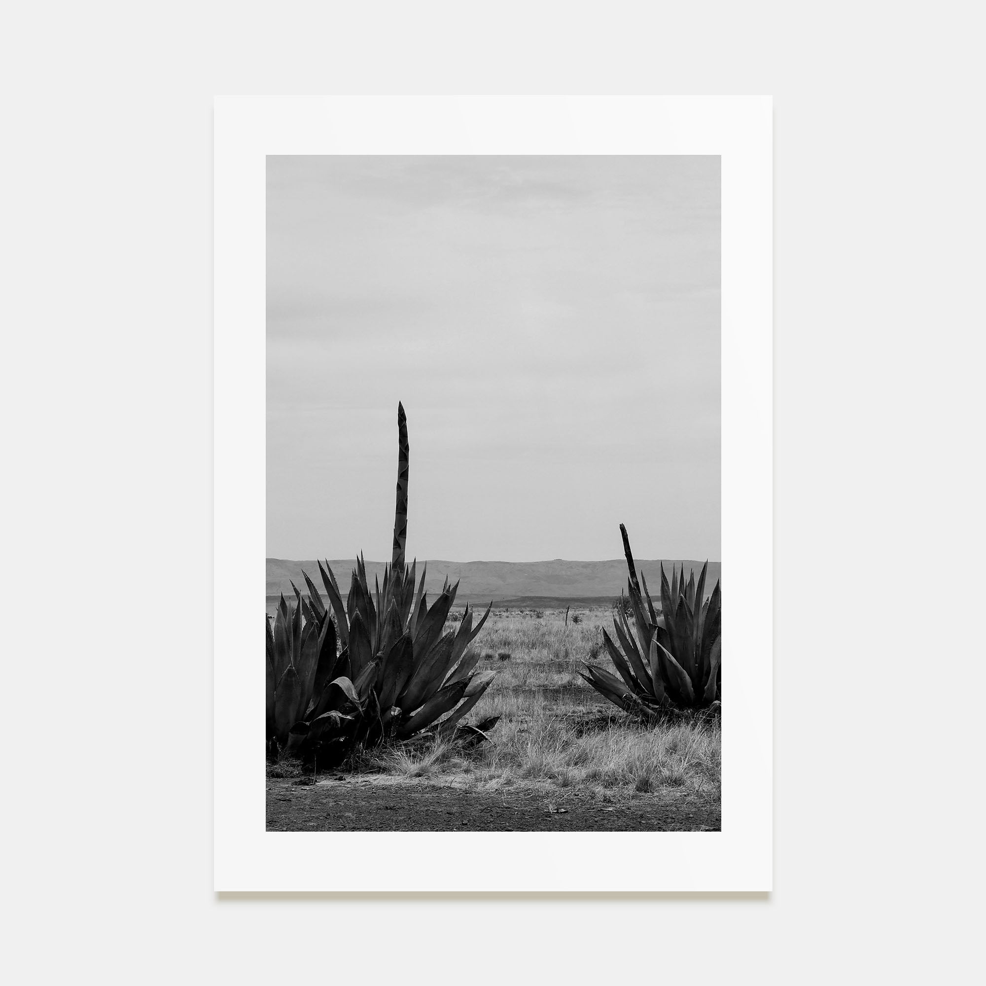 Texas Photo B&W No 1 Poster