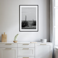 Texas Photo B&W No 1 Poster