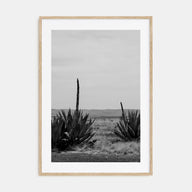 Texas Photo B&W No 1 Poster