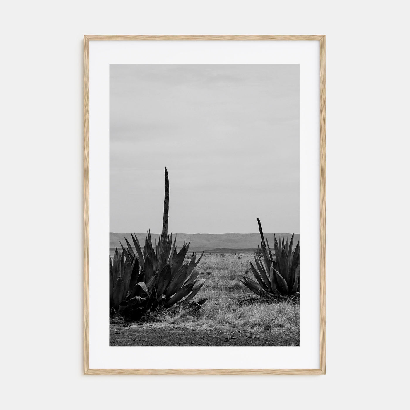 Texas Photo B&W No 1 Poster