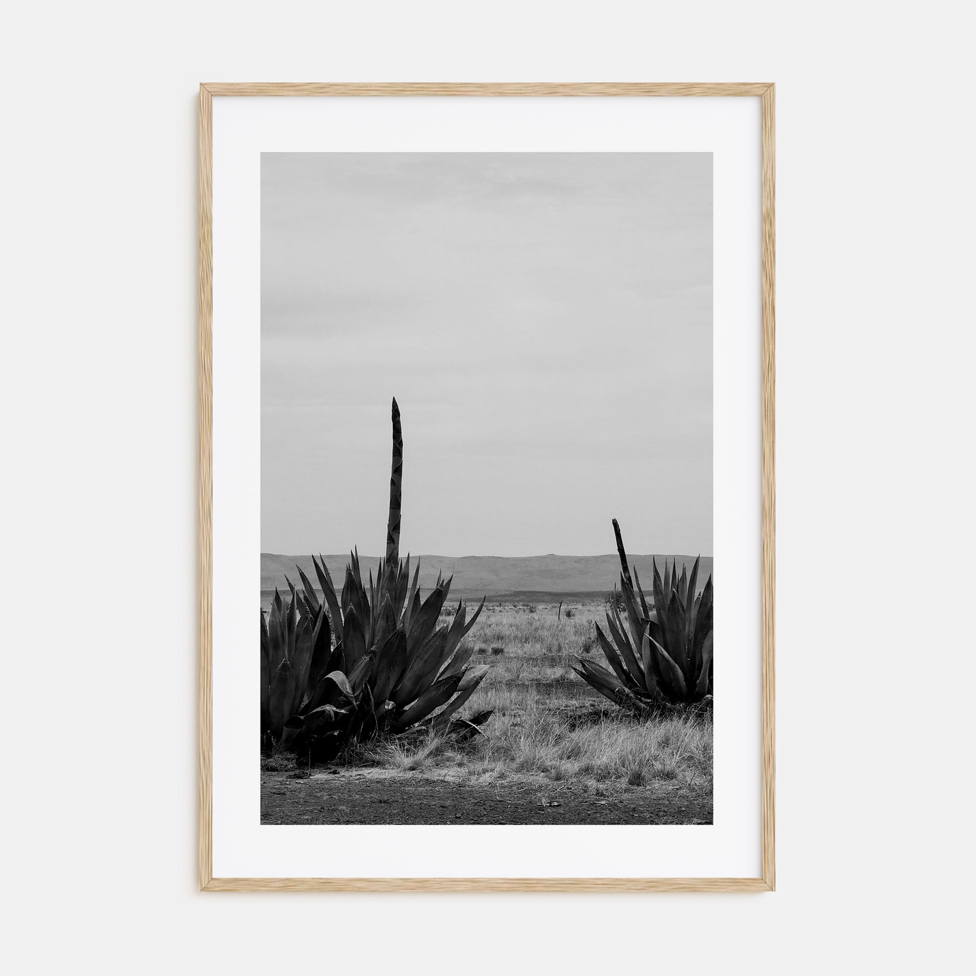 Texas Photo B&W No 1 Poster