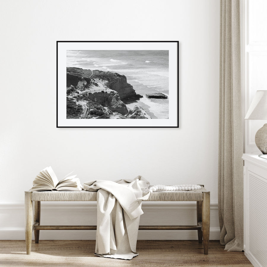 Torrey Pines Landscape B&W Poster