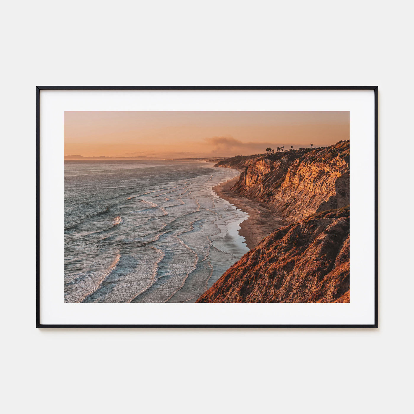 Torrey Pines Landscape Color Poster