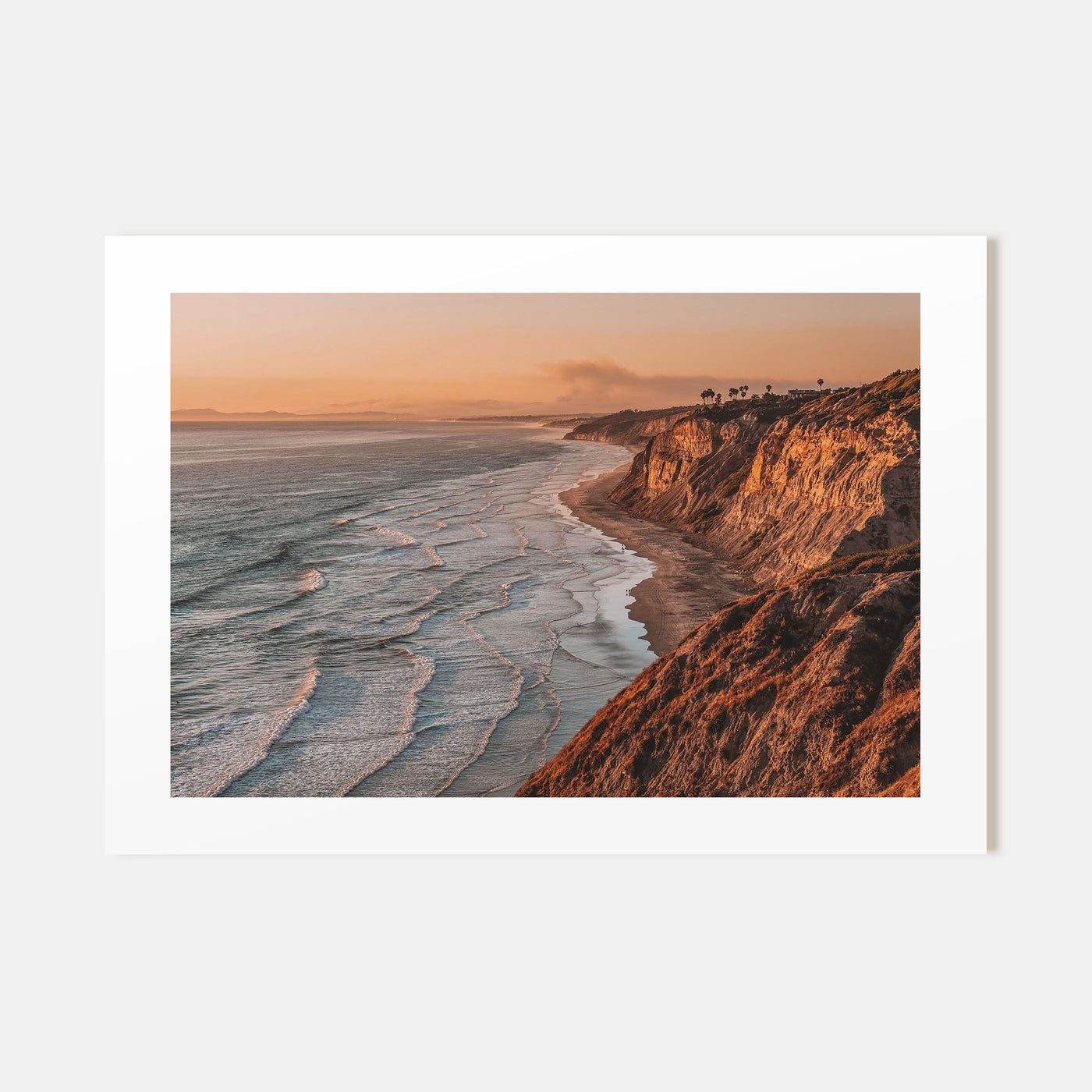 Torrey Pines Landscape Color Poster