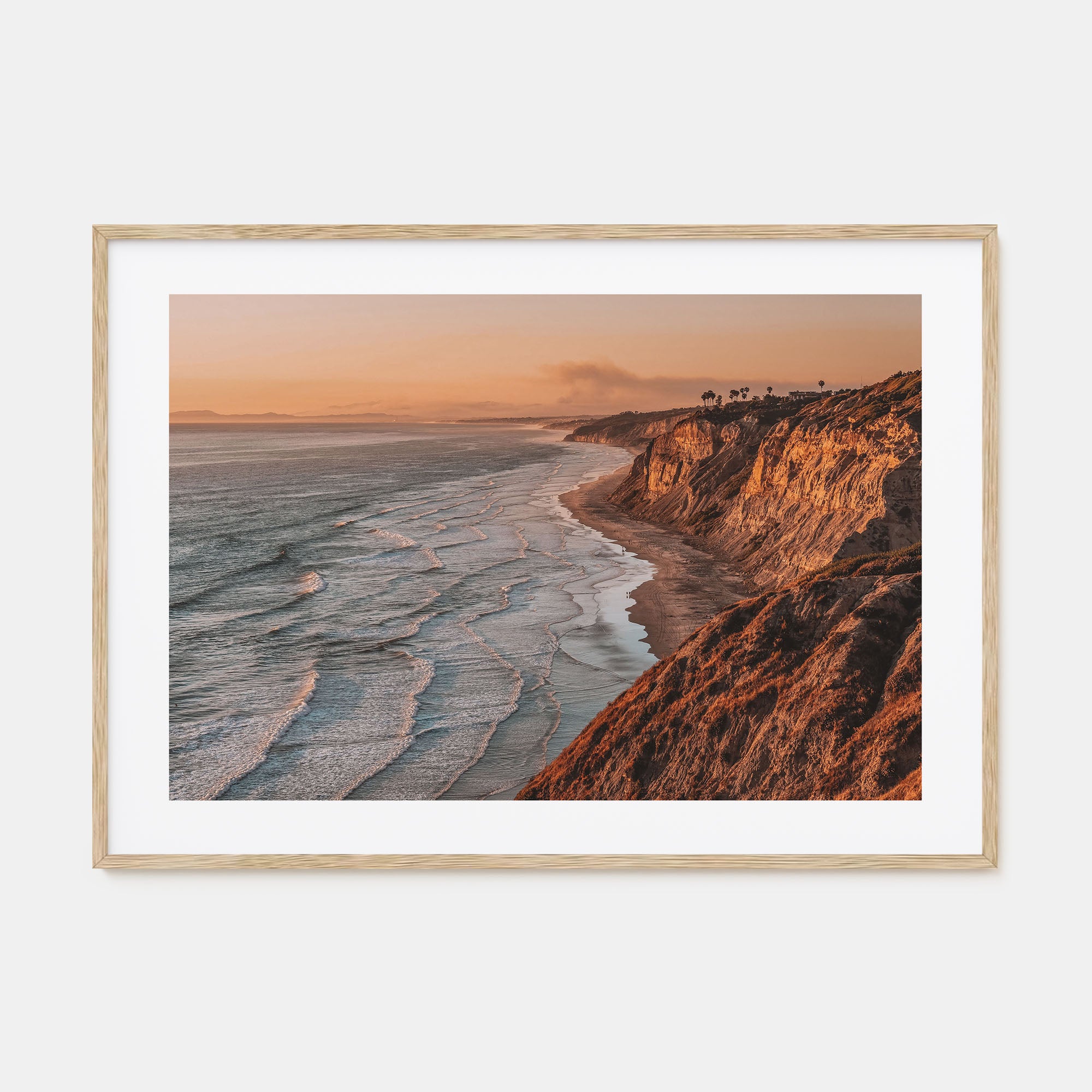 Torrey Pines Landscape Color Poster
