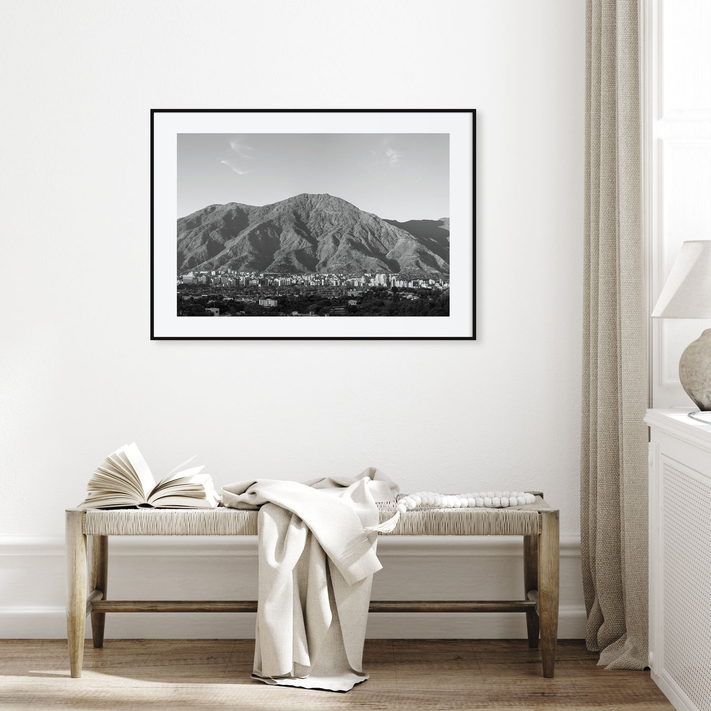 Venezuela Landscape B&W Poster