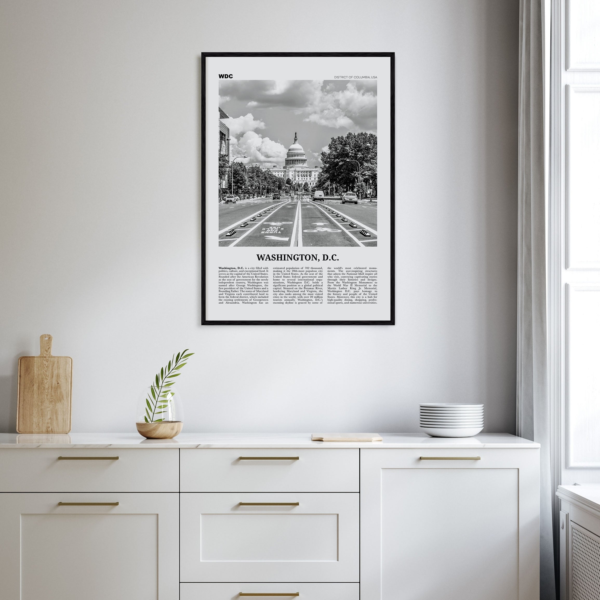 Washington, D.C. Travel B&W No 1 Poster