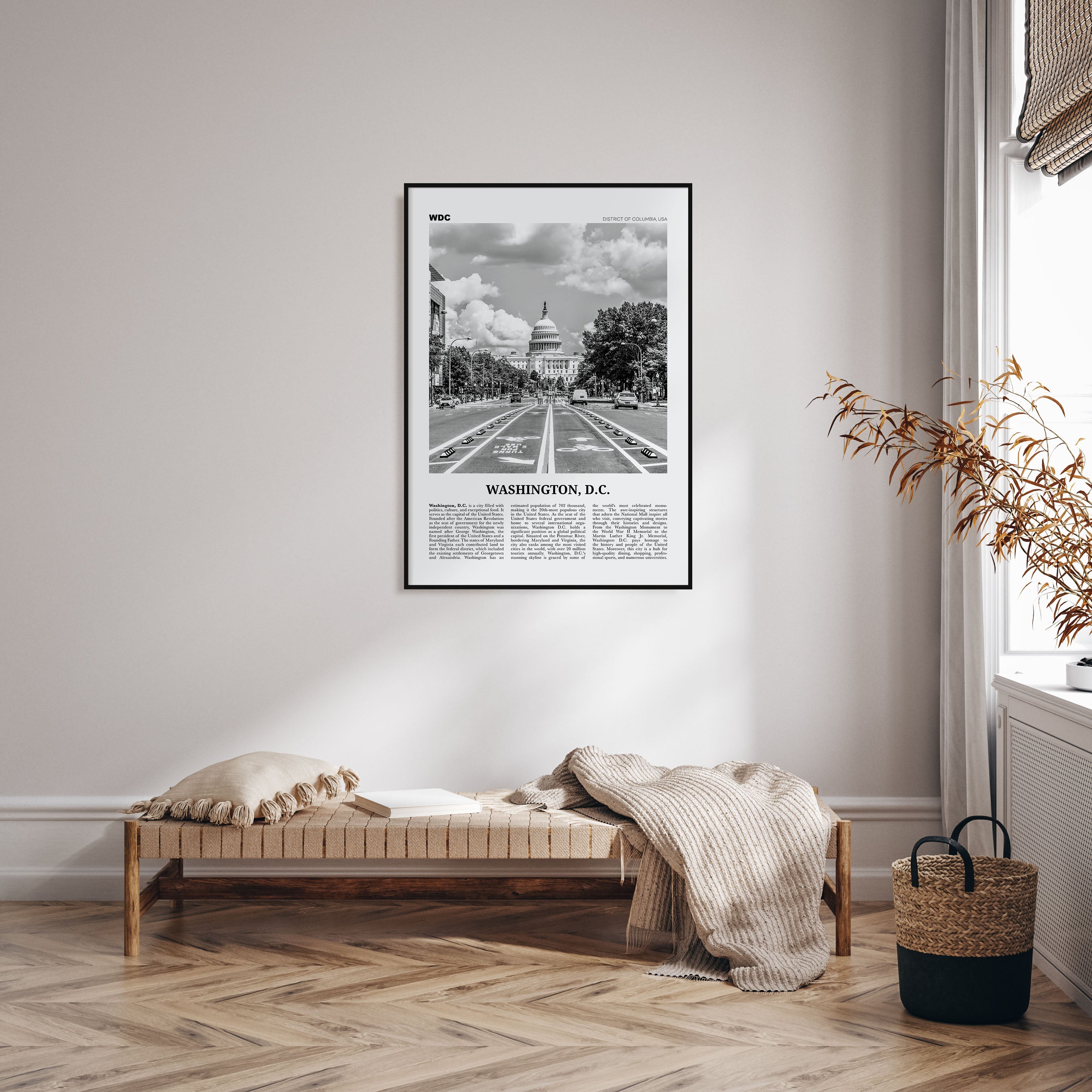 Washington, D.C. Travel B&W No 1 Poster