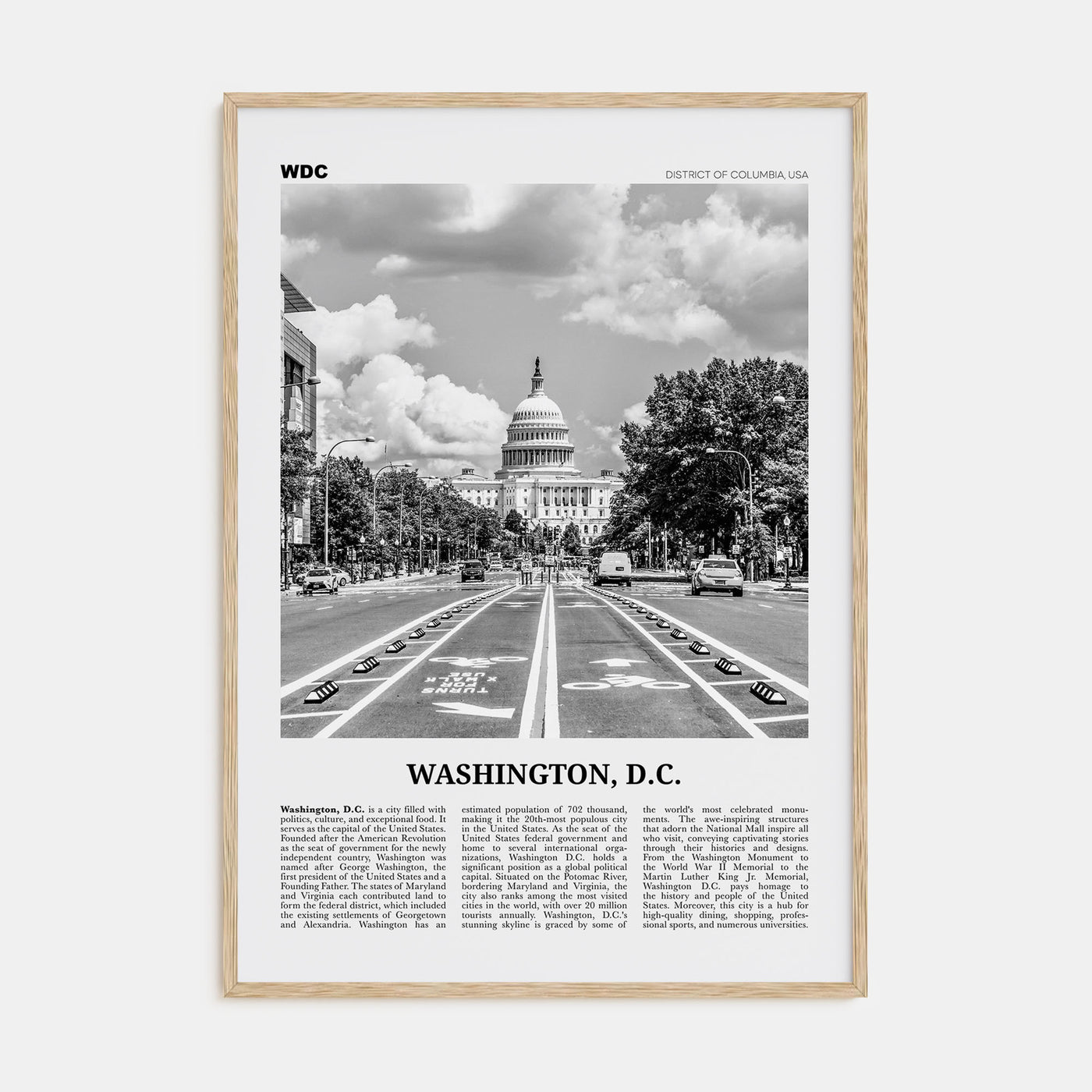 Washington, D.C. Travel B&W No 1 Poster